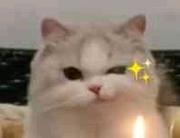 讲道理的風的个人资料头像