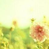 重山峻岭1707头像