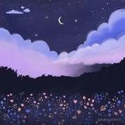 風朝阳的个人资料头像