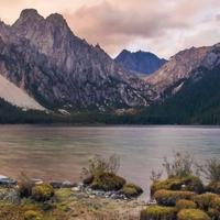 幽默饼干Z8头像