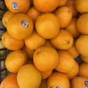 小台铃的个人资料头像