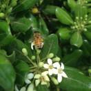 卡曼奇的个人资料头像