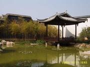 A惠风的个人资料头像