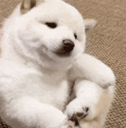 一起看世界_的个人资料头像