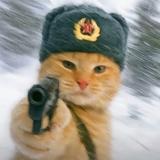 穆荀说头像