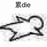 k5116888头像