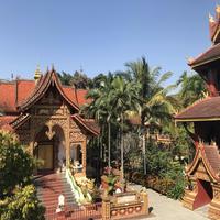 梦幻仁爱星球头像