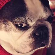 姜凯982的个人资料头像