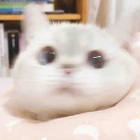 旧脸盆换不锈钢手机头像