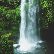 笑疯癫的个人资料头像