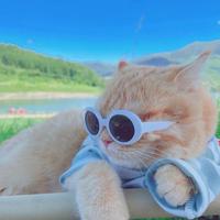 等站先先好好滴love拉头像