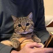 SILENT的个人资料头像