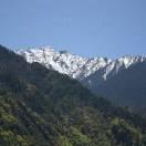 做个俗人吧的个人资料头像