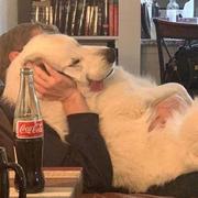 江白的个人资料头像