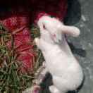 一起去看青草地的个人资料头像