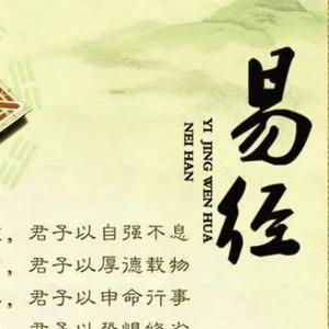 数字能量达人头像