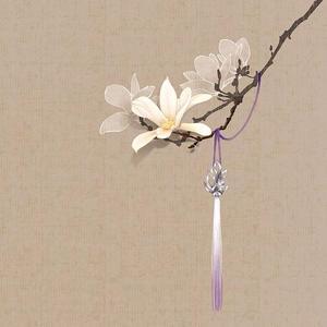 养生俊杰老师头像