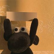 Nice2Mtiu的个人资料头像