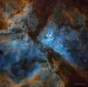 Java_yyds的个人资料头像