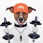 用户6445789787862的个人资料头像