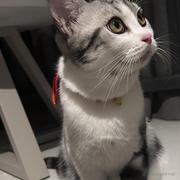 Lori_N的个人资料头像