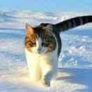 小舟君的个人资料头像