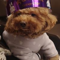 用户1810575329190头像