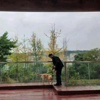 小王啊哦小王头像