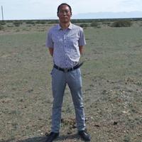 沉着青山IIS头像