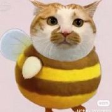 玥家小饼头像