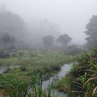 雨雾雷雪头像