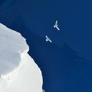 赵欢827的个人资料头像