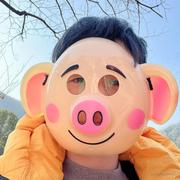 八戒八戒的个人资料头像