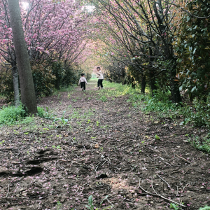 郭香香头像
