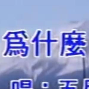 杨然一胡萝卜头像