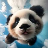 小贱贱哟丶头像