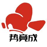 势竟成头像