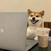 Garfield481的个人资料头像