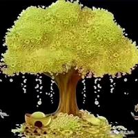 好奇贝尔1n3头像