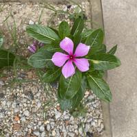 用户9853523922408头像