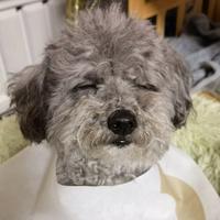 海阔天空该用户名已经头像