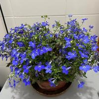 用户6428082534024头像