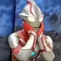 牛顿的橙子头像