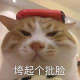 小王日记2x8c头像