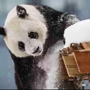 有一个云朵头像