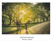 朱熙691的个人资料头像