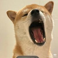 知識青年吖头像