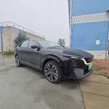 星光永烁之地头像