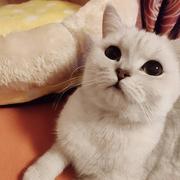 绵绵928的个人资料头像