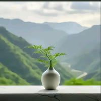 幸福太阳当空赵头像